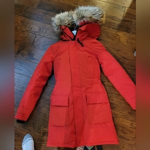 Aritzia Bancroft parka